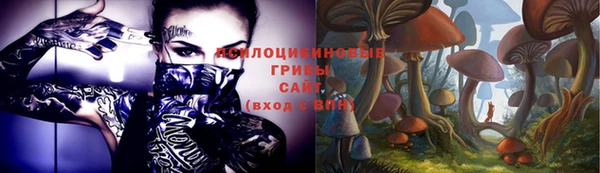бошки Алзамай
