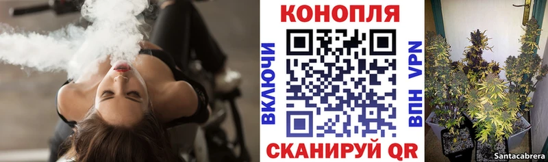 Каннабис конопля Пыталово